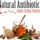 Natural Antibiotics Infographic